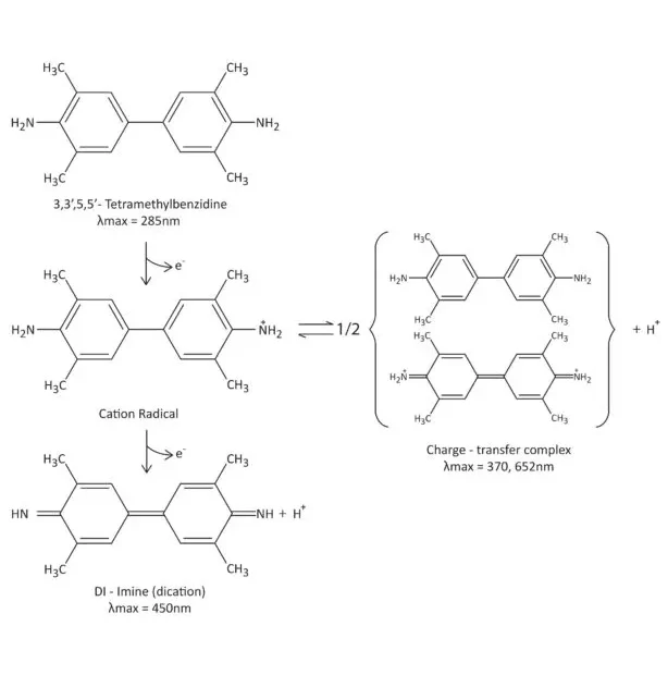 HRP oxidation TMB