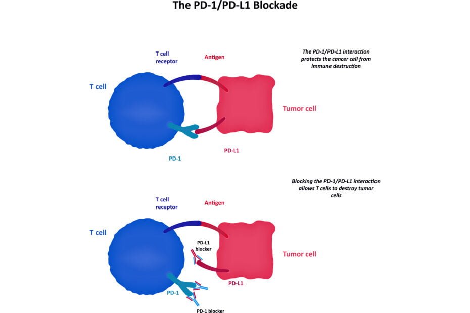 pdl1