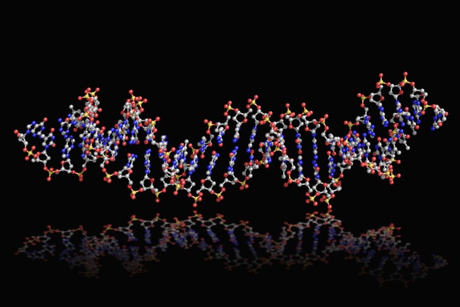 aptamer