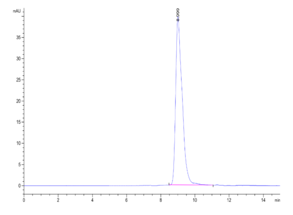 HPLC of Rat FcRn Protein 2012