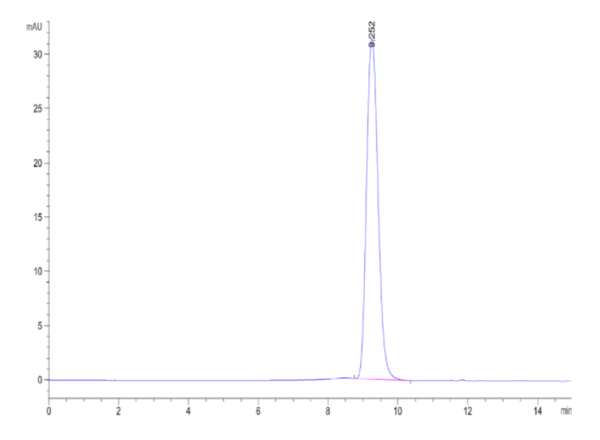 HPLC of Biotinylated Human IFN alpha/beta R2 Protein 2021