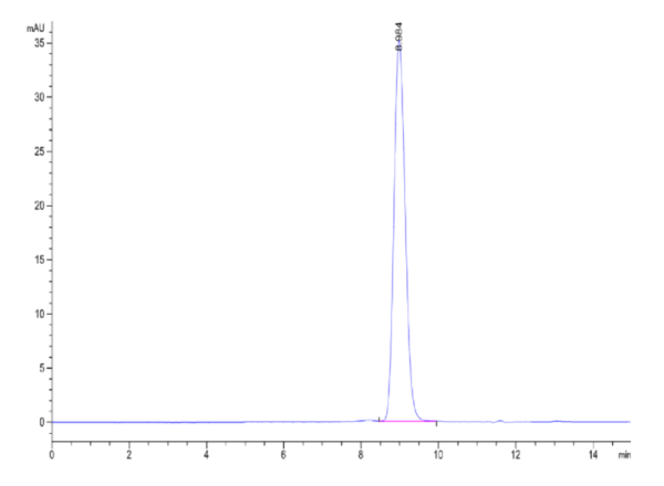 HPLC of Biotinylated Human MSLN/Mesothelin Protein 2022