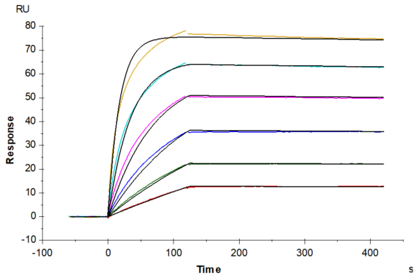 SPR with Human SSTR2 Protein-Nanodisc 2025