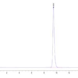 HPLC of Human HLA-A*02:01&B2M&HIV Gag (SLYNTVATL) Monomer Protein 2028