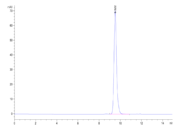 HPLC of Human HLA-A*02:01&B2M&HIV Gag (SLYNTVATL) Monomer Protein 2028