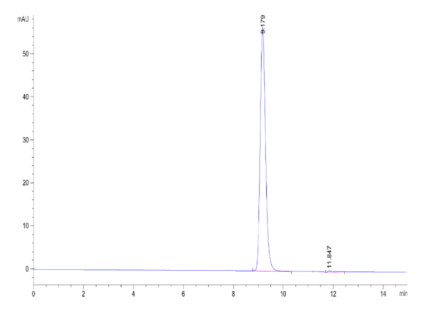 HPLC of Rat DPP3 Protein 2032