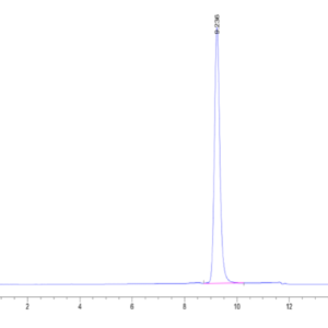 HPLC of Mouse DPP3 Protein 2034