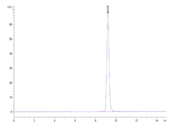 HPLC of Biotinylated Human HLA-E*01:03&B2M&EBV LMP1 (GGDPHLPTL) Monomer 2037