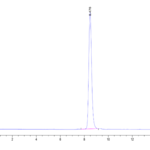 HPLC of Human Latent GDF-8 Protein 2039