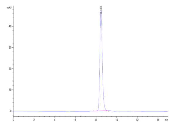 HPLC of Human Latent GDF-8 Protein 2039