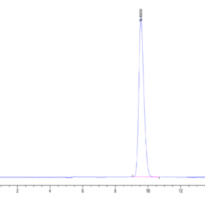 HPLC of Human GIPR Protein 2040
