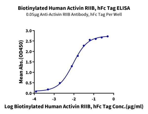 ELISA with Biotinylated Human Activin RIIB/ACVR2B Protein 2045