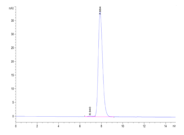 HPLC of Biotinylated Human Activin RIIB/ACVR2B Protein 2045