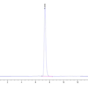 HPLC of Human HLA-A*02:01&B2M&CMVpp65 (NLVPMVATV) Tetramer Protein 2050