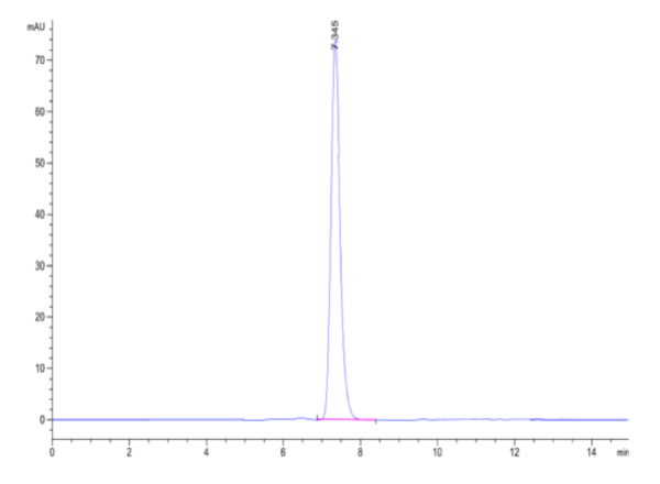 HPLC of Human HLA-A*02:01&B2M&CMVpp65 (NLVPMVATV) Tetramer Protein 2050