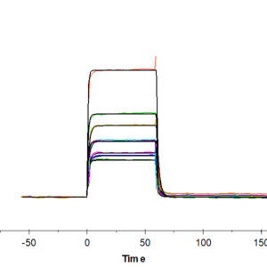 SPR with Chimeric HLA-A*02:01 (mα3) &mB2M&MAGE-A4 (KVLEHVVRV) Mon 2055