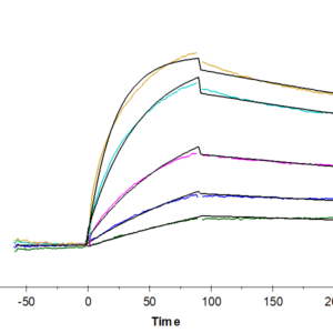 SPR with Chimeric HLA-A*02:01 (mα3) &mB2M&MAGE-A1 (KVLEYVIKV) Mon 2058