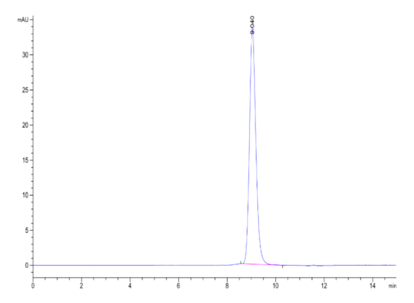 HPLC of Rat MSLN/Mesothelin Protein 2062