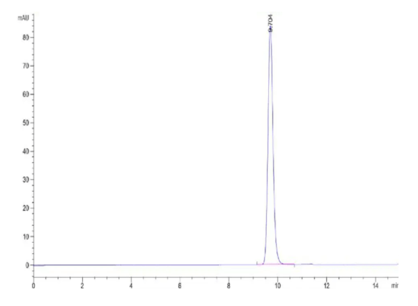 HPLC of Biotinylated Human HLA-A*02:01&B2M&CMVpp65 (NLVPMVATV) Monomer  2064