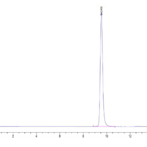 HPLC of Human HLA-A*02:01&B2M&CMVpp65 (NLVPMVATV) Monomer Protein 2073