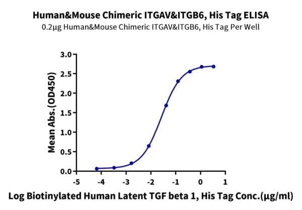 ELISA with Mouse&Human Chimeric Integrin alpha V beta 6 (ITGAV&ITGB6) H 2074