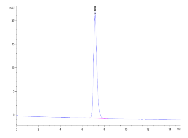 HPLC of Mouse&Human Chimeric Integrin alpha V beta 6 (ITGAV&ITGB6) Hete 2074