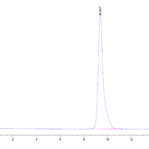 HPLC of Human NKp80/CLEC5C Protein 2078