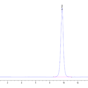 HPLC of Human CD3G/CD3 gamma Protein 2081