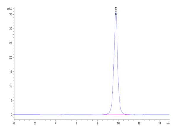 HPLC of Human CD3G/CD3 gamma Protein 2081