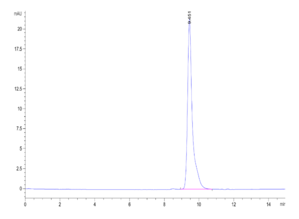 HPLC of Rat CD40/TNFRSF5 Protein 2084