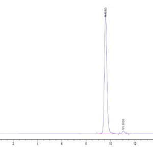 HPLC of Human HLA-A*02:01&B2M&P53 WT (HMTEVVRRC) Monomer Protein 2091