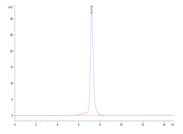 HPLC of Human OX40 Ligand/TNFSF4 Protein 2095