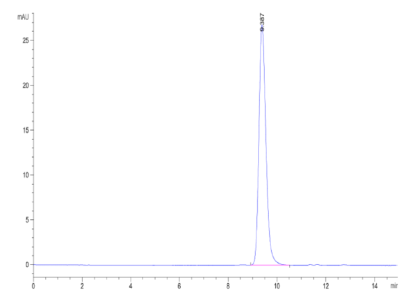 HPLC of Biotinylated Human CD40 Ligand/TNFSF5 Trimer Protein 2099