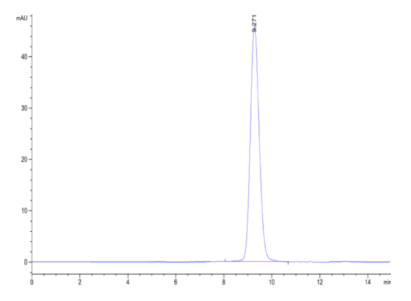 HPLC of Biotinylated Cynomolgus Fc gamma RIII/CD16 Protein 2100