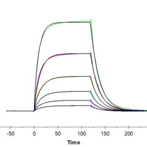 SPR with Human LGR-4 Protein 2109