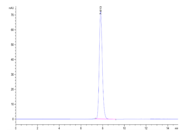 HPLC of Human IL-3 R Beta/CD131 Protein 2127