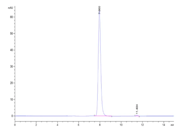 HPLC of Human EPO R/Erythropoietin R Protein 2128