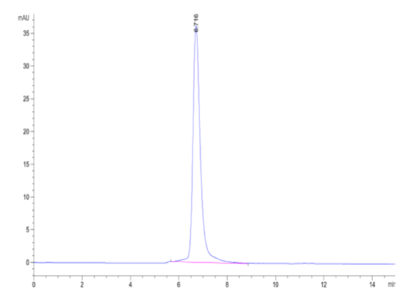 HPLC of Human Nectin-1/PVRL1/CD111 Protein 2129