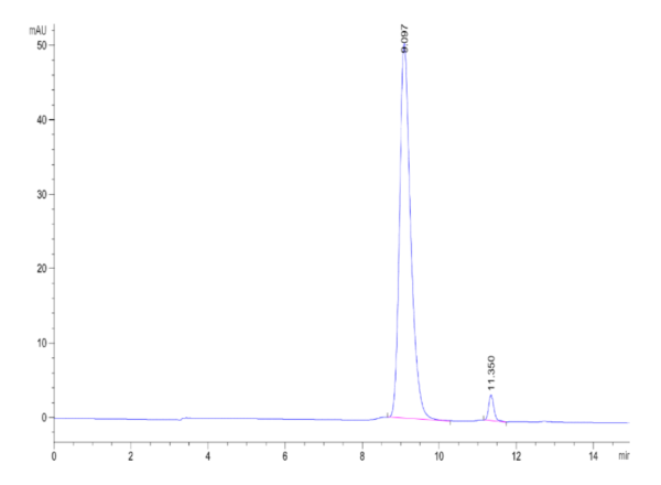 HPLC of Biotinylated Human Fc gamma RIIIB/CD16b (NA1) Protein 2131