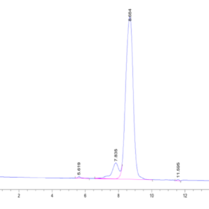 HPLC of Human CD229/SLAMF3 Protein 2135
