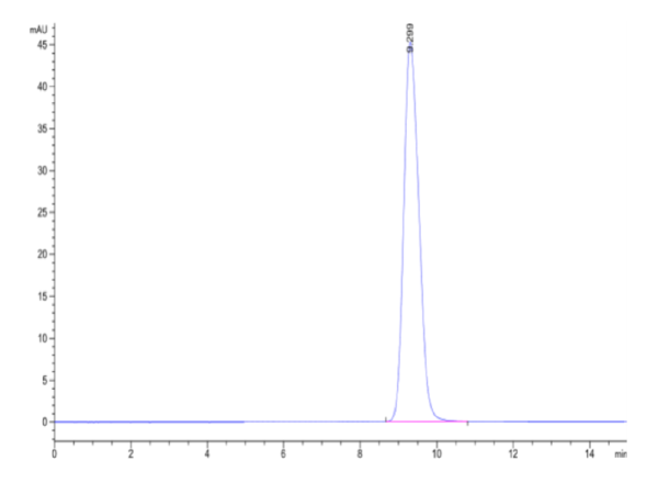 HPLC of Cynomolgus CD161 Protein 2138