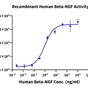 Cell based assay with Human Beta-NGF Protein 2143