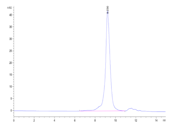 HPLC of Biotinylated Human ASGR1 Protein 2144