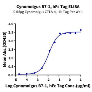 ELISA with Cynomolgus B7-1/CD80 Protein 2150