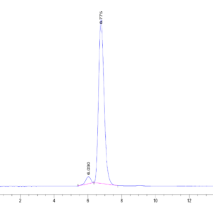 HPLC of Human HLA-A*11:01&B2M&HPV16 E7 (IVCPICSQK) Tetramer Protein 2151