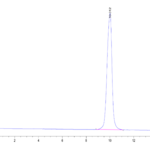 HPLC of Human ACVR1B/ALK-4 Protein 2152