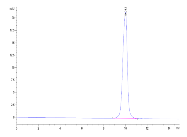 HPLC of Human ACVR1B/ALK-4 Protein 2152