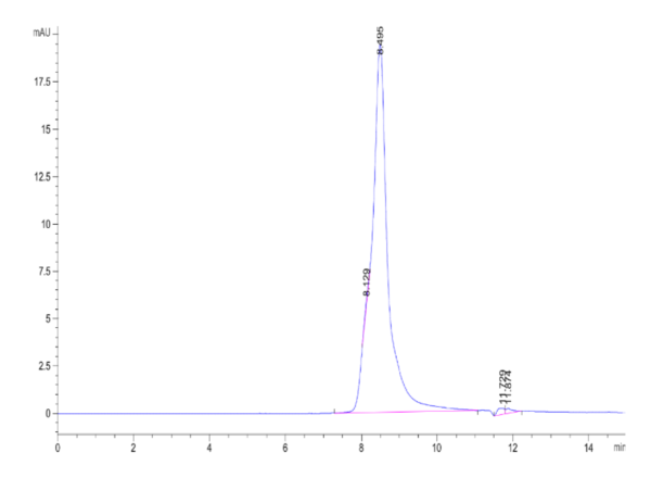 HPLC of Human ALPL Protein 2156