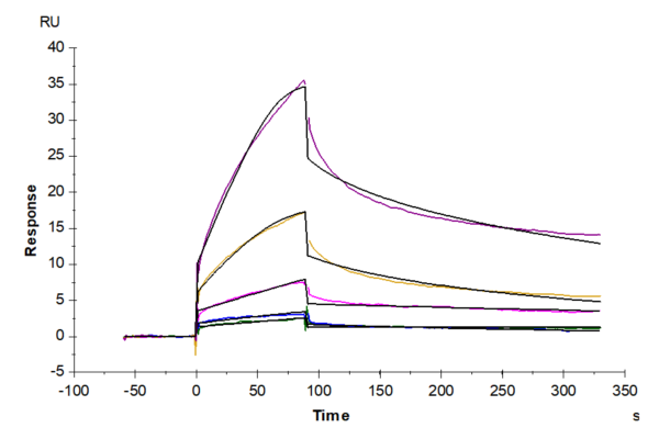 SPR with Human APOE2/Apolipoprotein E Protein 2159