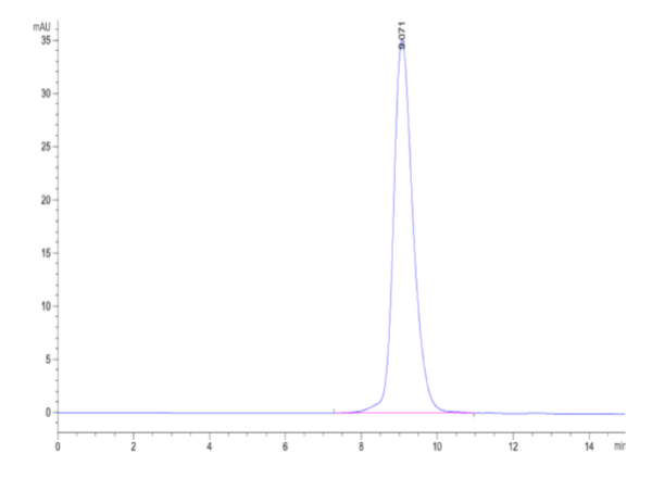 HPLC of Biotinylated Human Activin RIIB/ACVR2B Protein 2160